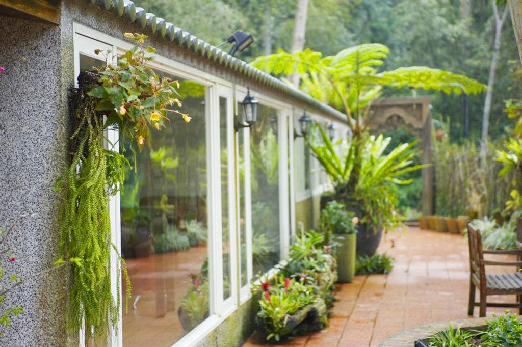 Green Shine B&B Нанджуан Екстериор снимка